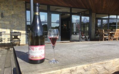 Transfer to/from Dover Cruise Terminal with Canterbury and Kent Vineyard Tour – 10 hours