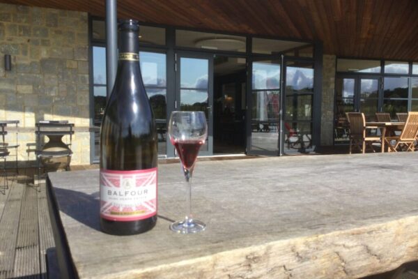 Transfer to/from Dover Cruise Terminal with Canterbury and Kent Vineyard Tour – 10 hours