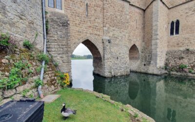 Leeds Castle and Hever Castle – 9 hour tour